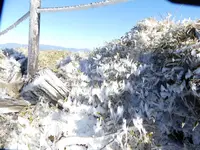 箱根・駒ケ岳ロープウェーの写真・動画_image_174615