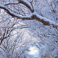 雲仙ロープウェイの写真・動画_image_174629