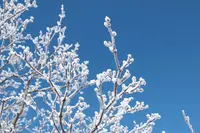 雲仙ロープウェイの写真・動画_image_174630