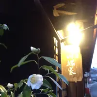 長湯温泉の写真・動画_image_174696