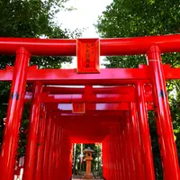 伊奴神社の写真・動画_image_174720