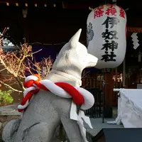 伊奴神社の写真・動画_image_174724