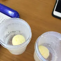 愛知牧場の写真・動画_image_174764