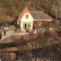 愛・地球博記念公園の写真・動画_image_174766