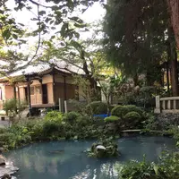 八十場の湧泉の写真・動画_image_174782