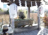 不忍池辯天堂の写真・動画_image_174805