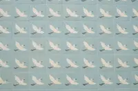 多治見市モザイクタイルミュージアムの写真・動画_image_174821