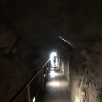 ダイアモンド ヘッド ステート モニュメントの写真・動画_image_174840