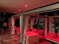 ラムファイヤーの写真・動画_image_174857