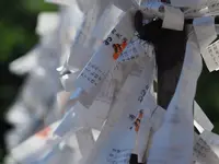 湯島天満宮（湯島天神）の写真・動画_image_174909