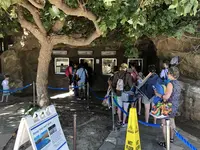 Hanauma Bay（ハナウマ湾）の写真・動画_image_174974