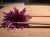 山形座 瀧波の写真・動画_image_175117