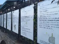 寄居星の王子さまPAの写真・動画_image_17520