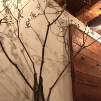 Nem Coffee&Espressoの写真・動画_image_175505