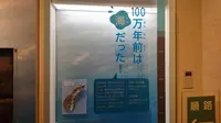 府中市郷土の森博物館の蝋梅の写真・動画_image_175512