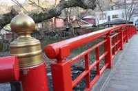 竹林の小径の写真・動画_image_175536