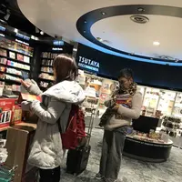 成田空港第一ターミナル南の写真・動画_image_175567