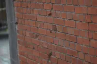 オランダ坂の写真・動画_image_175615