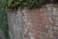 オランダ坂の写真・動画_image_175616