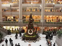 横浜ランドマークタワーの写真・動画_image_175968