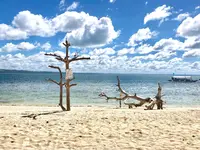 パンダノン島の写真・動画_image_176059