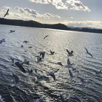 相馬市の写真・動画_image_176095