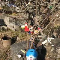 たろっぺ茶屋の写真・動画_image_176165