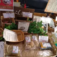 中條こんにゃくの写真・動画_image_176208