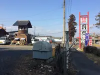 並木藤の写真・動画_image_176209
