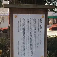 鹿沼駅の写真・動画_image_176218