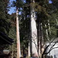 日光二荒山神社の写真・動画_image_176314