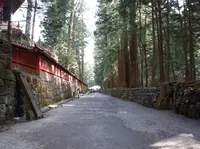 日光二荒山神社の写真・動画_image_176318