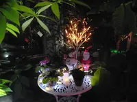 兵庫県立フラワーセンターの写真・動画_image_176604