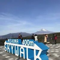 三島スカイウォークの写真・動画_image_176630