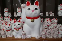 豪徳寺の写真・動画_image_176720