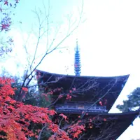 豪徳寺の写真・動画_image_176724