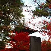 豪徳寺の写真・動画_image_176726