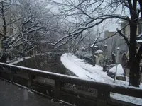 哲学の道の写真・動画_image_176820