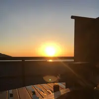 無雙庵枇杷の写真・動画_image_177036
