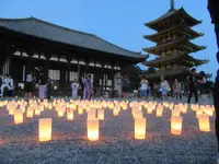 興福寺の写真・動画_image_177058