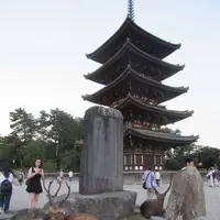 興福寺の写真・動画_image_177059