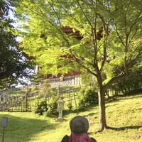 興福寺の写真・動画_image_177071