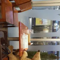 ムーミンハウスカフェの写真・動画_image_177085