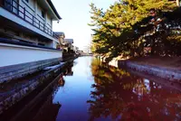 亀城公園の写真・動画_image_177236