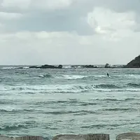 八丁浜シーサイドパークの写真・動画_image_177304
