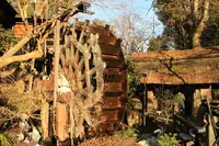 茶房 糸屋の写真・動画_image_177370