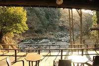 茶房 糸屋の写真・動画_image_177371