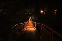 石舟橋の写真・動画_image_177377
