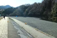 秋川渓谷の写真・動画_image_177382
