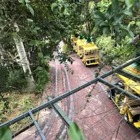 ナゴパイナップルパークの写真・動画_image_177540